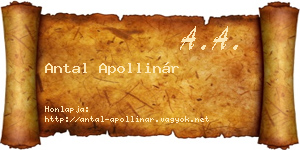 Antal Apollinár névjegykártya